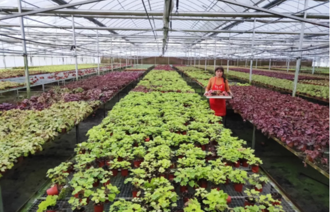 天凉好个秋，一起到沭阳感受收获之美