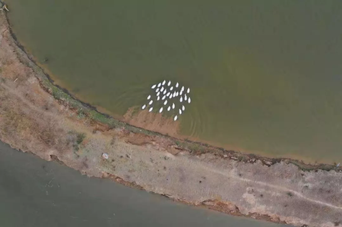 天凉好个秋，一起到沭阳感受收获之美