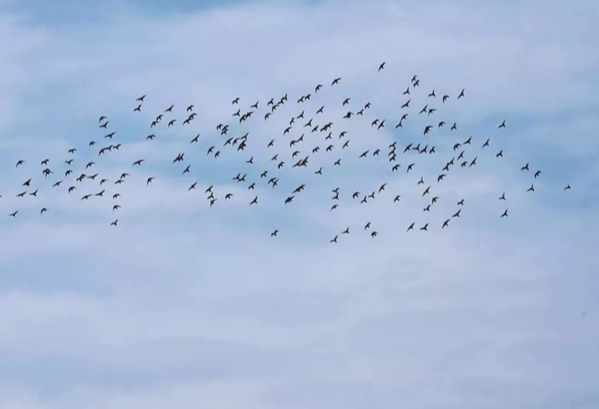 天凉好个秋，一起到沭阳感受收获之美