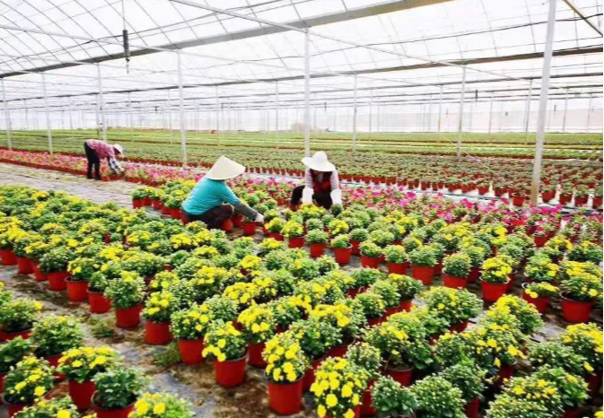 天凉好个秋，一起到沭阳感受收获之美