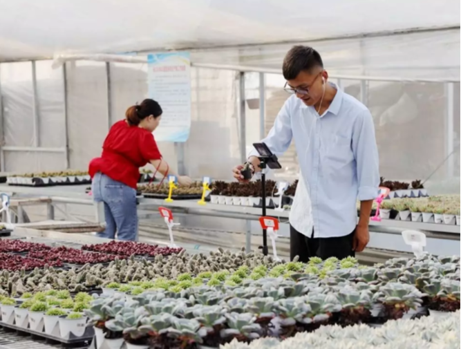 天凉好个秋，一起到沭阳感受收获之美