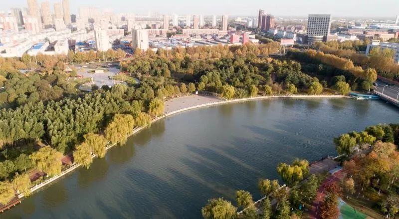 灵动心间的沭阳初冬景色