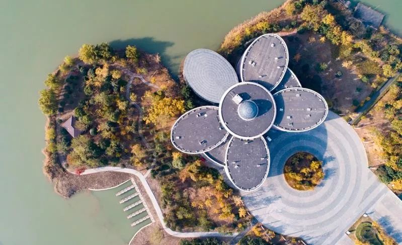 灵动心间的沭阳初冬景色