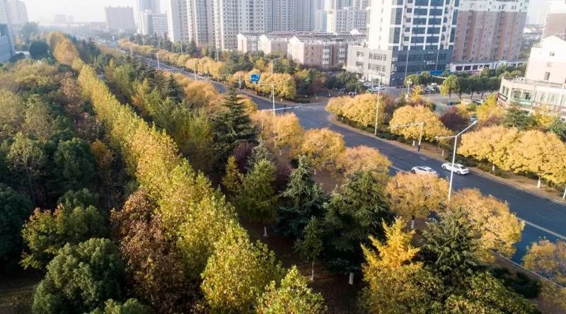 灵动心间的沭阳初冬景色