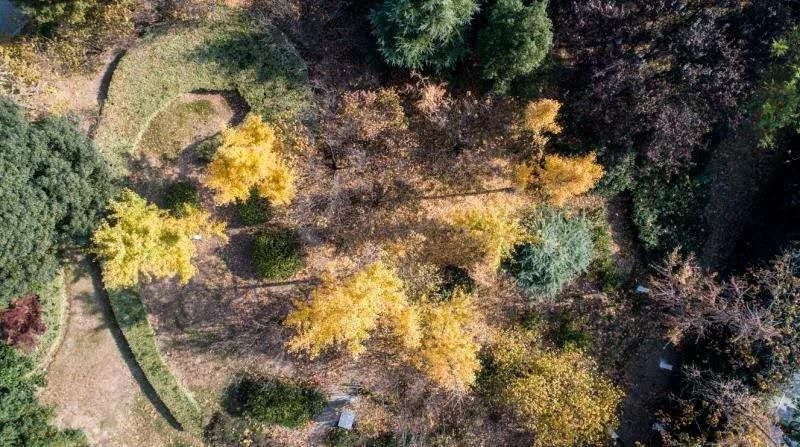 灵动心间的沭阳初冬景色