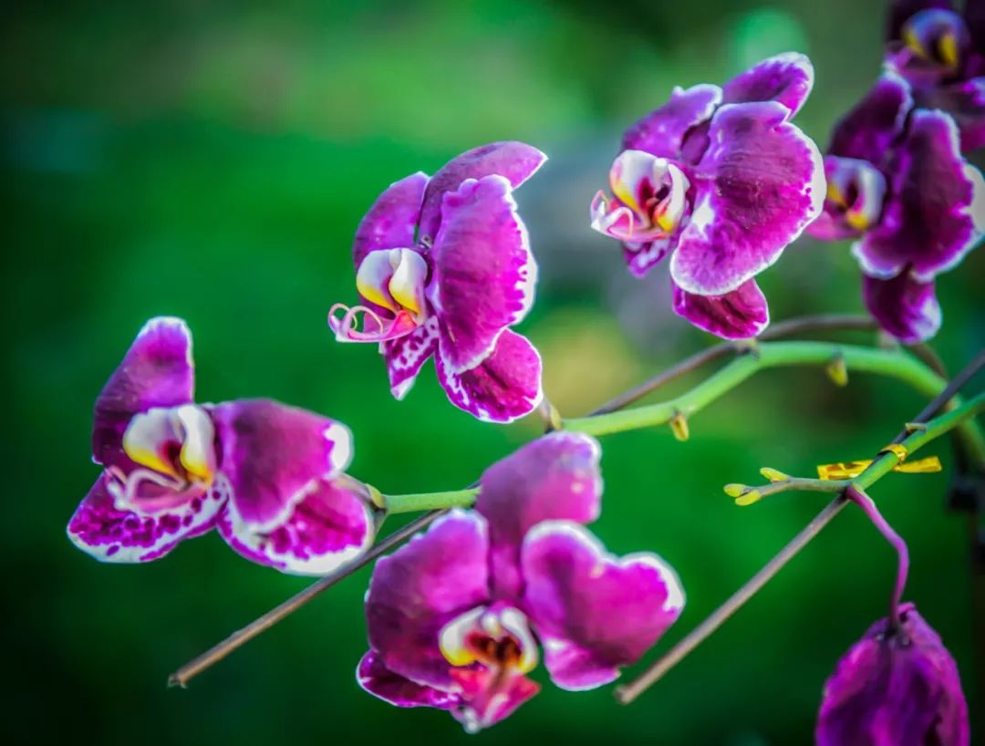 灵动心间的沭阳初冬景色