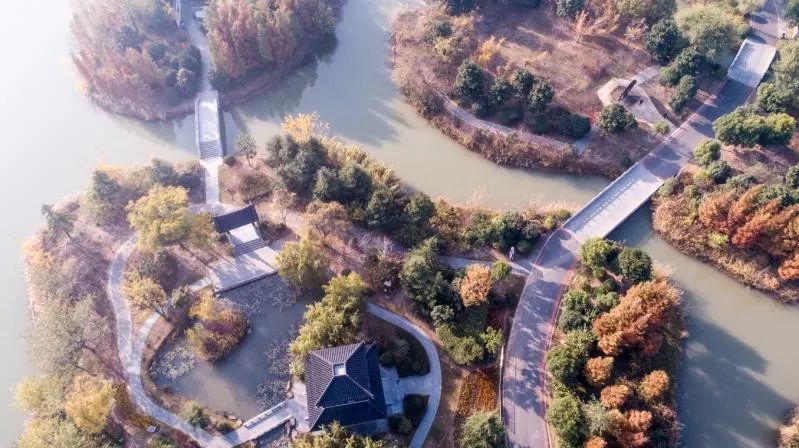 灵动心间的沭阳初冬景色