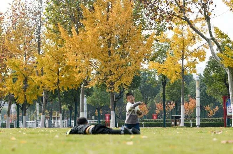 灵动心间的沭阳初冬景色