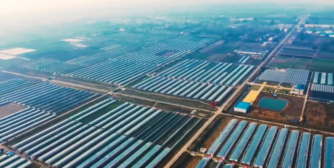 灵动心间的沭阳初冬景色