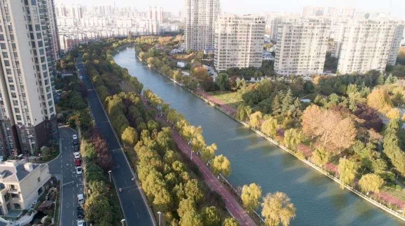 灵动心间的沭阳初冬景色