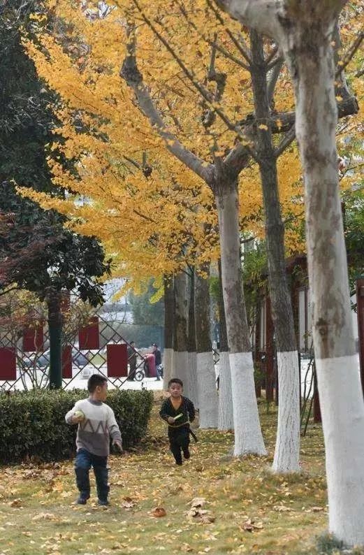 灵动心间的沭阳初冬景色