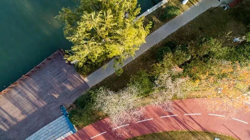 灵动心间的沭阳初冬景色