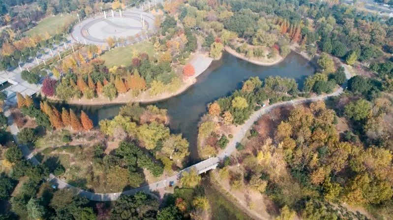 灵动心间的沭阳初冬景色