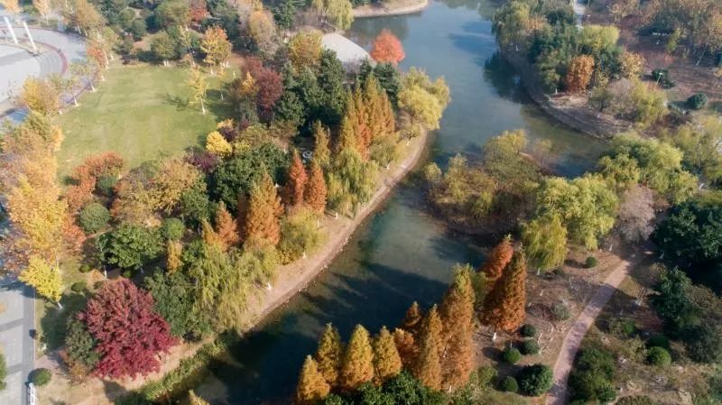 灵动心间的沭阳初冬景色