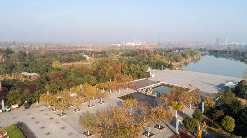 灵动心间的沭阳初冬景色