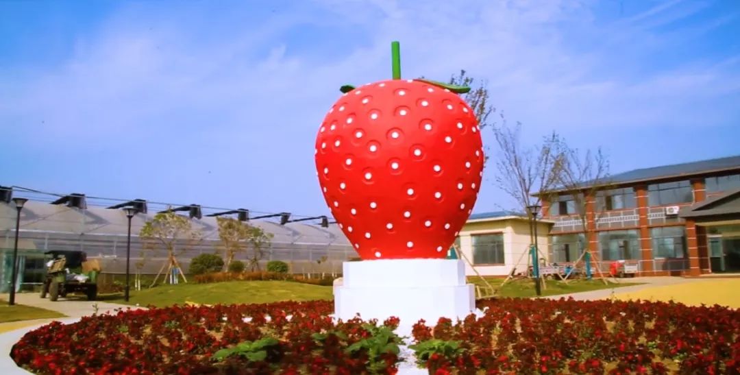 灵动心间的沭阳初冬景色