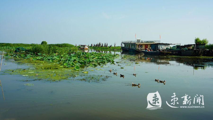 图说丨泗阳:大湖风景美若画