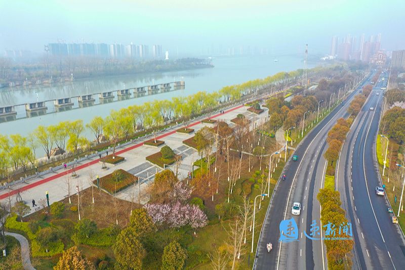 泗阳:京杭运河风光带春景如画