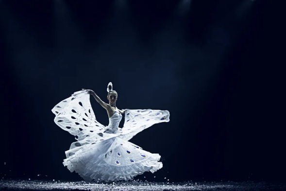 杨舞《雀之灵》演出图 此次发布会究竟有哪些精彩亮点值得关注?