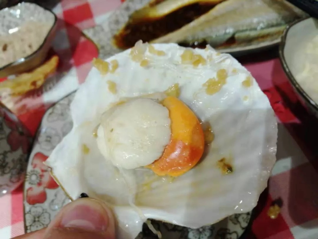 虾夷扇贝的闭壳肌和生殖腺