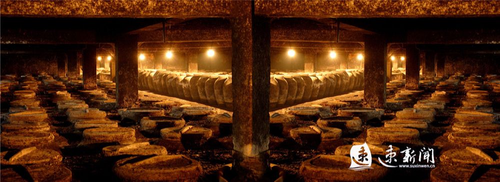 洋河酒厂地下酒窖