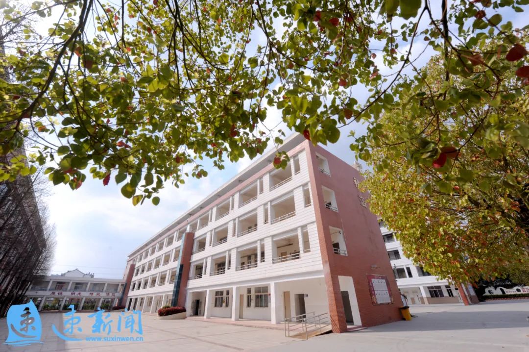 撒满了希望的色彩春天的宿豫区实验小学校园里宿豫实小: 春光是希望的