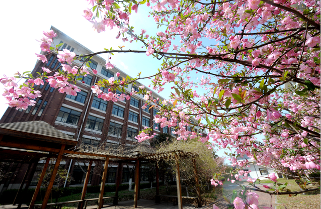 宿迁市钟吾国际学校公开招聘教师简章