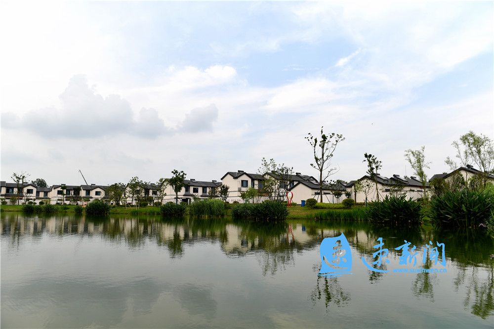 泗阳县爱园镇松张口社区:这里的乡村美如画