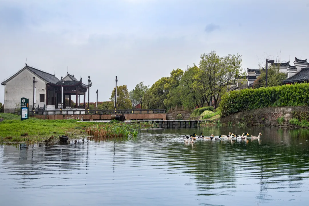 位于江宁区江宁街道牌坊村的黄龙岘茶文化村,茶香满坡,竹林环绕.