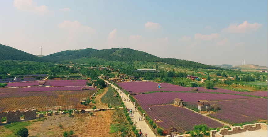 贾汪紫海蓝山薰衣草文化创意产业园