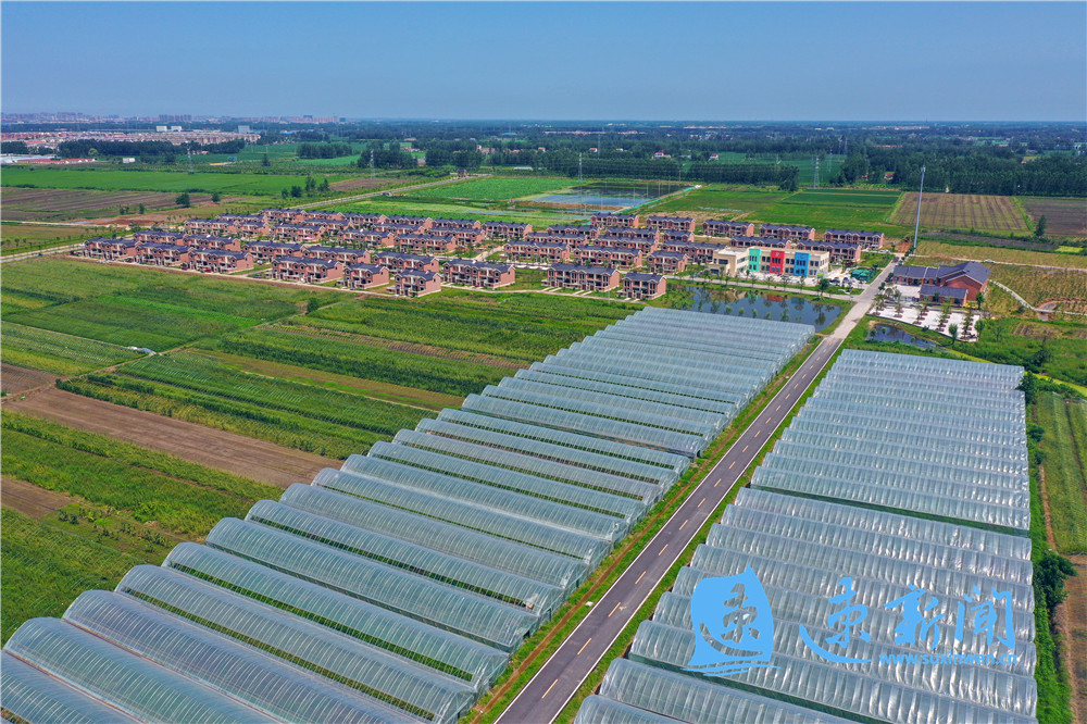 绿洽十年 筑梦宿迁|宿豫陆集:以绿色产业标刻城镇新高度