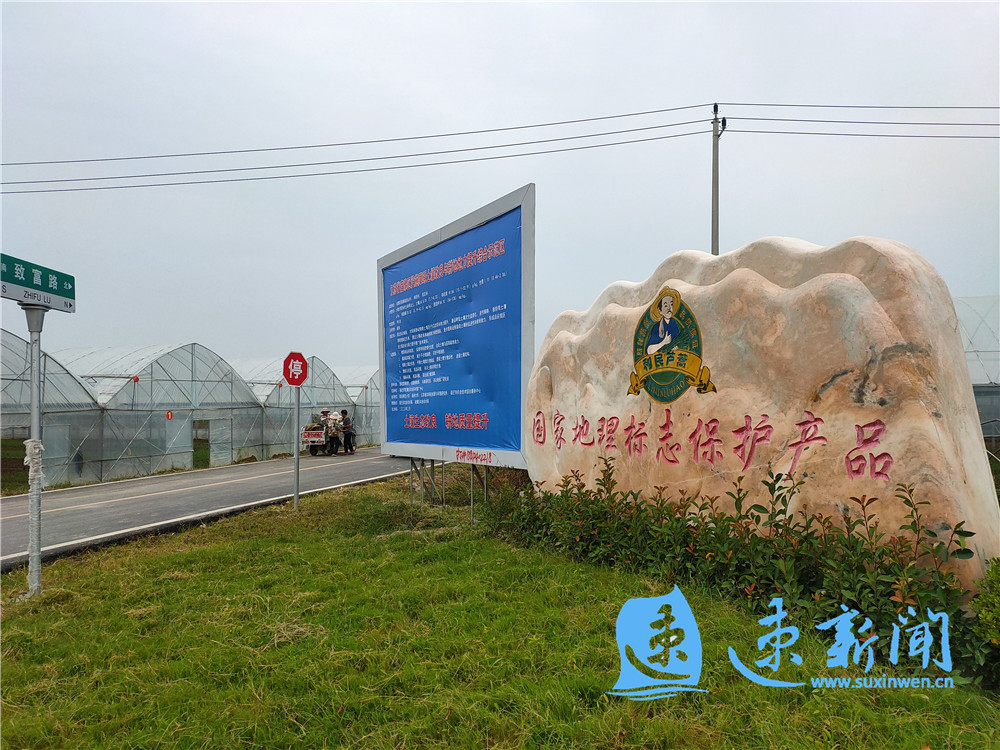 绿洽十年 筑梦宿迁|宿豫陆集:以绿色产业标刻城镇新高度