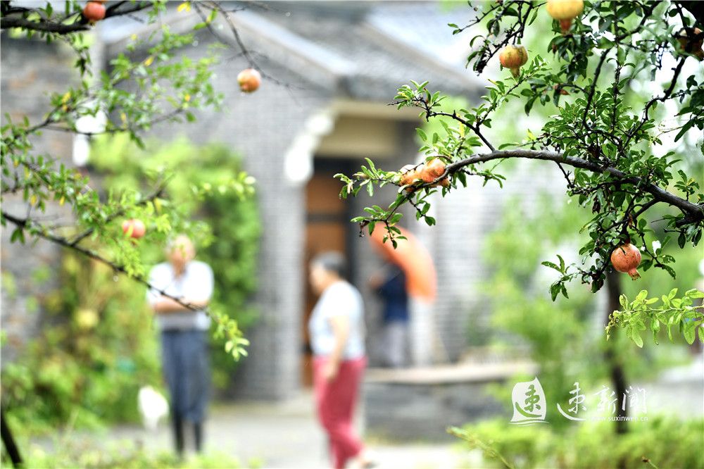 [田园]幸福双河里 诗画田园村