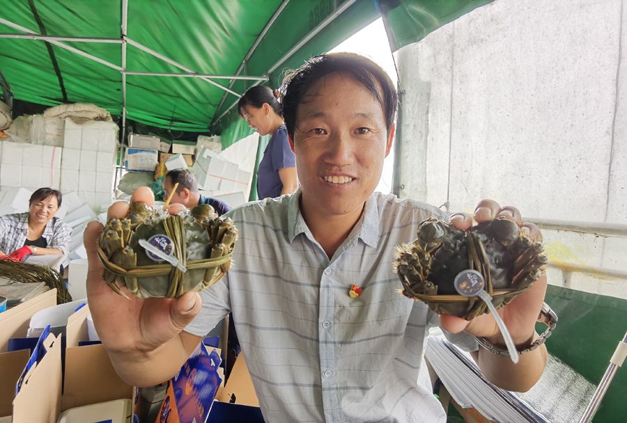 「销售」质优价高蟹农笑开颜 宿迁泗洪：洪泽湖大闸蟹出水销售