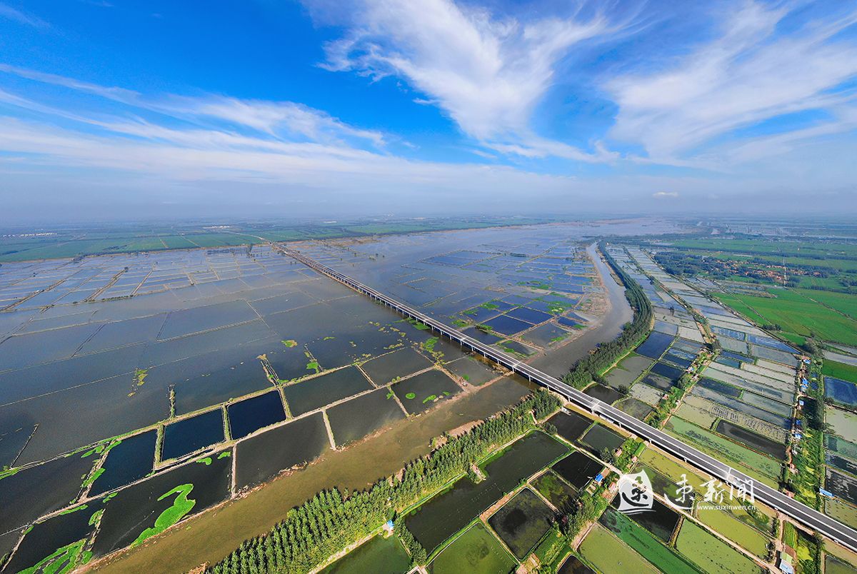 "幸福宿迁·圆梦小康" | 从"春到上塘"到"春到泗洪",这条路走得漂亮!