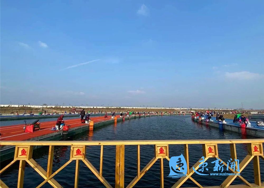 谁"鱼"争锋?泗洪国际大圆塘吸引400名钓友围塘开赛