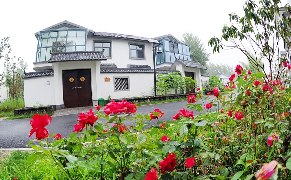 全市乡村振兴重点工作现场推进会观摩剪影①雕琢乡村丰景