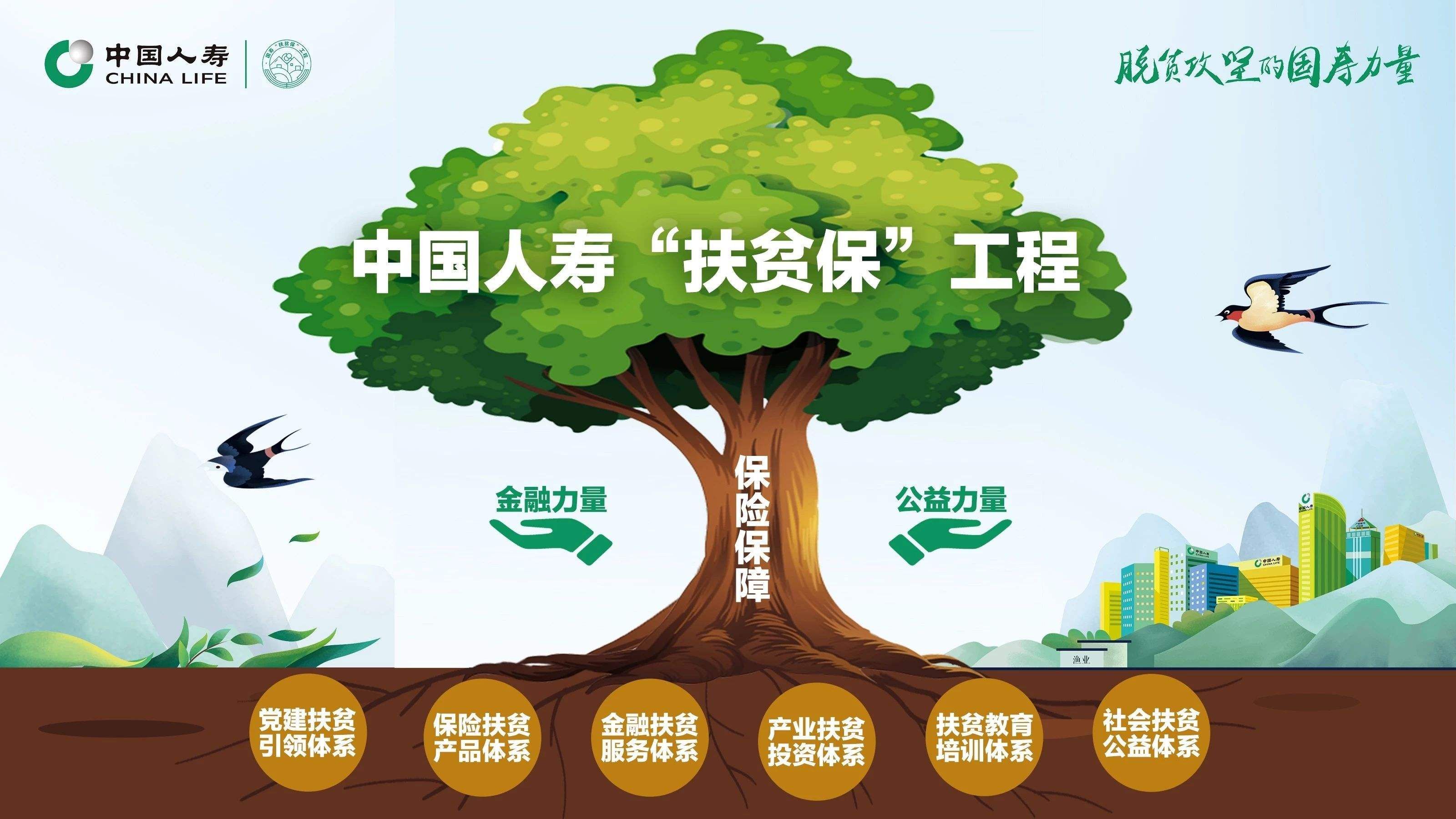 履行社会责任 助推精准脱贫 中国人寿:战斗在扶贫最前线