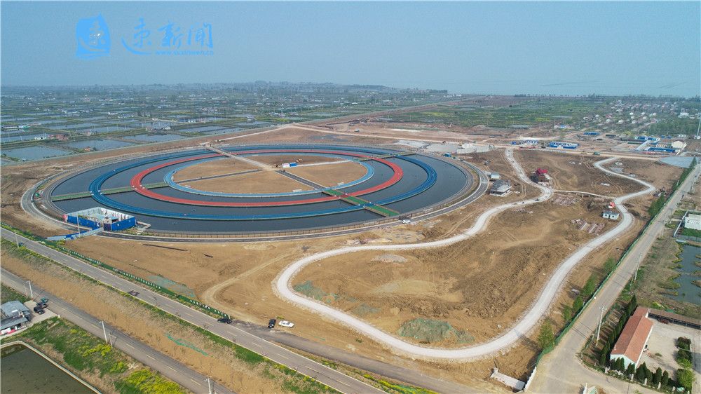 圆粉们全新国际大圆塘即将上线