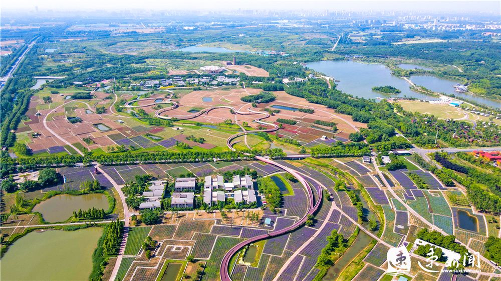 中国酒都,水韵名城" 淮海报盟暨江苏党媒采风活动走进宿迁