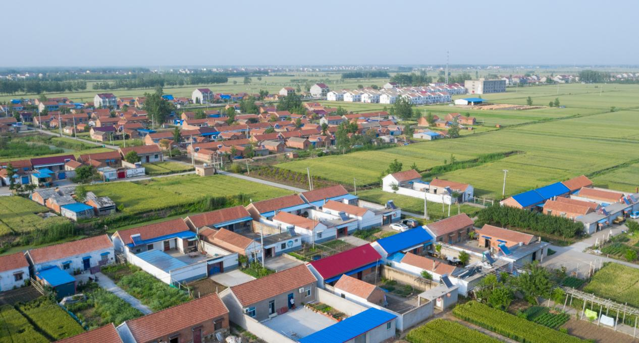 沭阳县青伊湖镇:让乡村充满人文气息,绽放文明之美